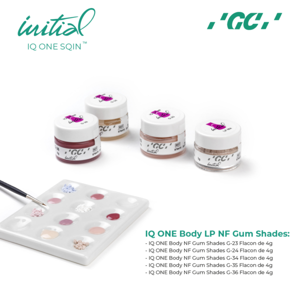 Initial iq one body lustre pastes nf gum shades set – Image 3