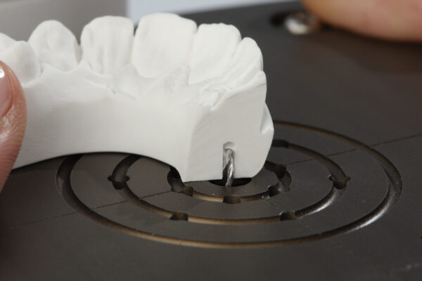 Top Spin Renfert – Image 3