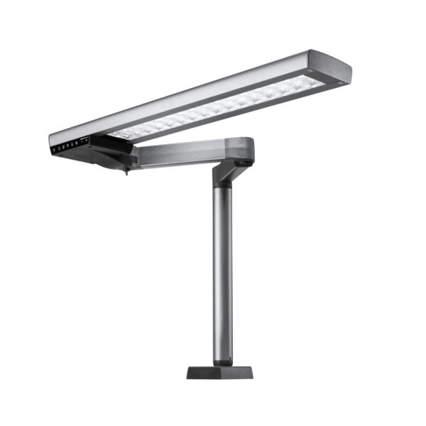 LIGHT 1 Renfert – Image 2
