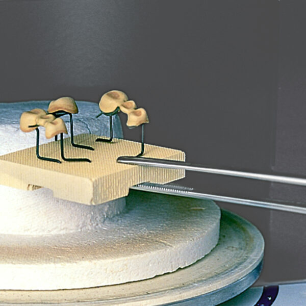 Mesh-Tray Renfert – Image 2