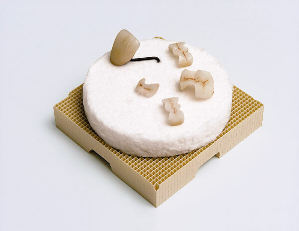 Mesh-Tray Renfert – Image 3
